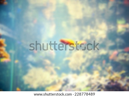 abstract fish water background blurred