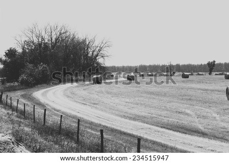 Country road field landscape black and white