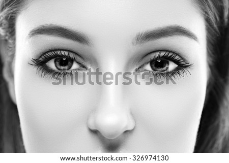 Eyes woman eyebrow eyes lashes black and white