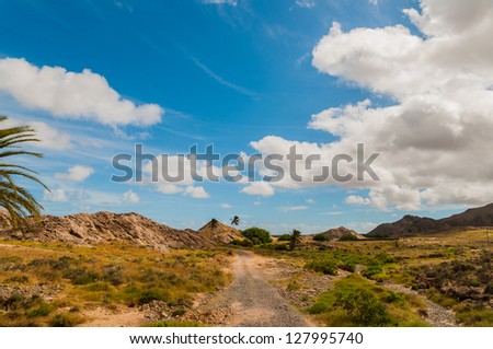 Old African Country Road