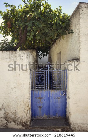 Grape vines over an allway blocked by old blue metal gate. White walls are old with peeling paint. Scene photographed on a sunny day on the island of Naxos, Greece. Vintage Coloring