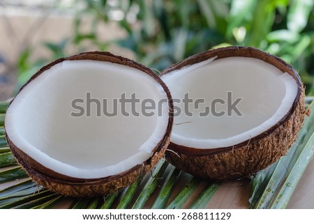 coconut fruit cut in half according to milk products, jam, oil, spa and health products and other food