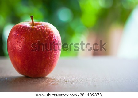 Red apple in natural light with blurred background effect of trees in the garden. image suitable for restaurants, supermarkets, wholesalers, resellers Dragon Fruit products or health products
