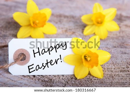Tag with Happy Easter and Narcisse Flowers, Easter Background