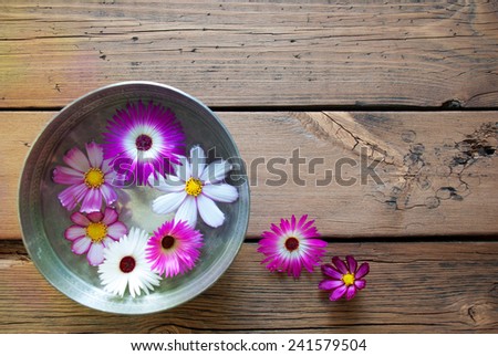 Silver Bowl With Copy Space For Your Text Here Or Free Text  With Purple And White Cosmea Blossoms On Wooden Background Vintage Retro Or Rustic Style