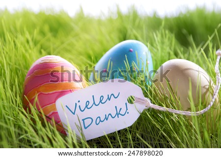 Colorful Easter Background With Three Easter Eggs And Label With German Text Vielen Dank On Green Grass For Happy Easter Seasons Greetings