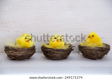 Sitting And Quaking Chicks In Easter Baskets Or Nest With Yellow Feathers On White Wooden Background With Copy Space Free Text For Advertisement Or Happy Easter Greetings Or Easter Decoration