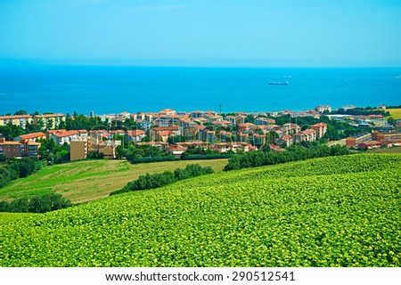 Landscape with sunflowers field and small town on the sea coast. Ancona, Italy