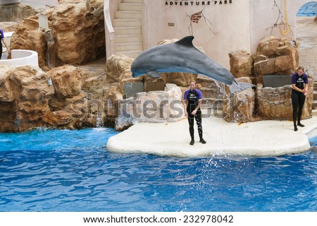 SAN DIEGO, CALIFORNIA, USA - JUNE 3, 2009: There is a representation. Dolphin Show. The dolphins who has jumped out of water. Sea World