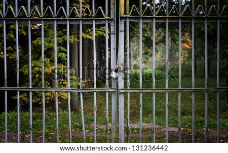 Metal Gates