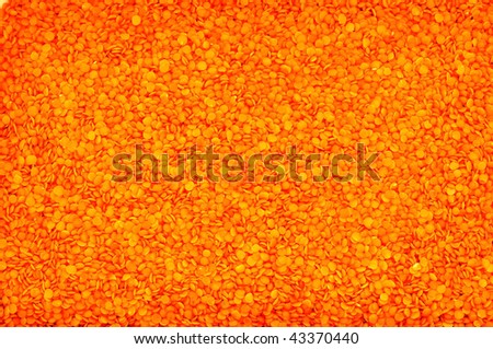 Photograph of the sample red lentils poured out onto the tray of rectangular