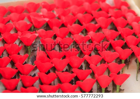 Popular Free The red poppy is a symbol of Thailand Veterans Day ... Popular Free The red poppy is a symbol of Thailand Veterans Day ...