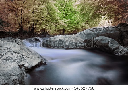 Water stream in the forest with rocks & foliage in infrared