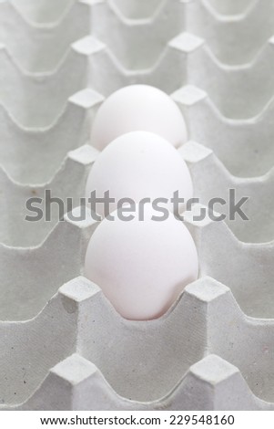 Close - up white egg in paper tray