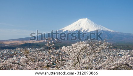 Mountain Fuji and cherry blossom sakura in spring season