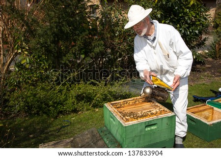 Beekeeper applying smoke to beehive to avoid being stung by bees