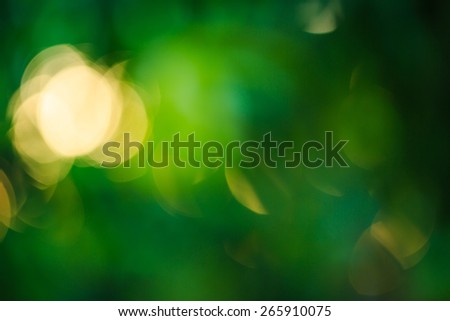 abstract photo of light burst among trees and glitter bokeh lights. image is blurred and filtered.