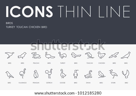 Set of BIRDS Thin Line Vector Icons and Pictograms