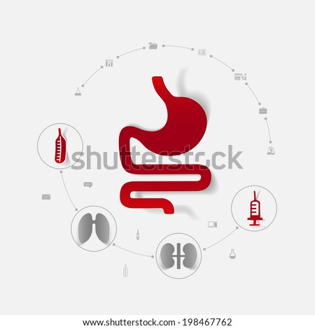 alimentary system