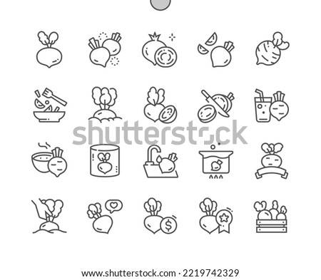 Beetroot vegetable. Cooking, recipes and price. Whole and cut beet. Food shop, supermarket. Beet juice. Pixel Perfect Vector Thin Line Icons. Simple Minimal Pictogram