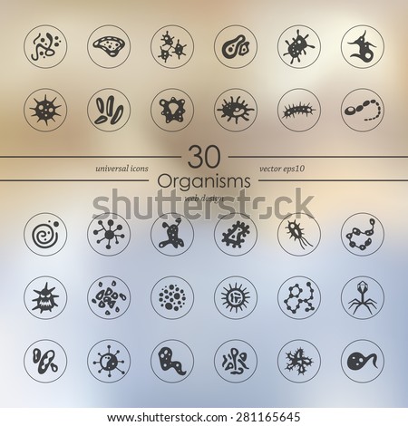 organisms modern icons for mobile interface on blurred background