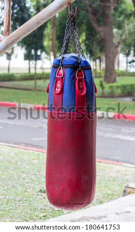Boxing bags hanging at a sports gym.