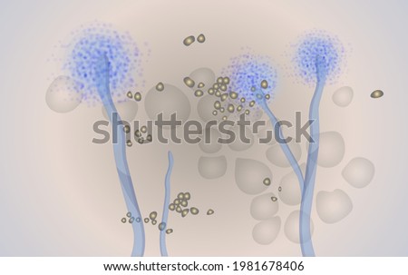 Mucormycosis - Mucor Fungus Spores - Illustration as EPS 10 File