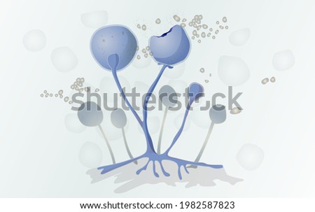 Mucormycosis - Mucor Fungus Spores - Illustration as EPS 10 File