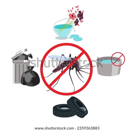 Dengue Prevention - Avoid Water Collection - Stock Illustration as EPS 10 File