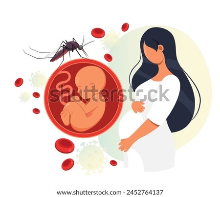 Zika Virus risk during Pregnancy  - Stock Illustration as EPS 10 File