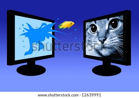 Predator cat is looking at a jumping fish