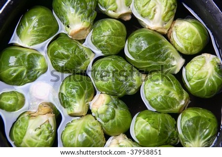 Brussels sprouts in water