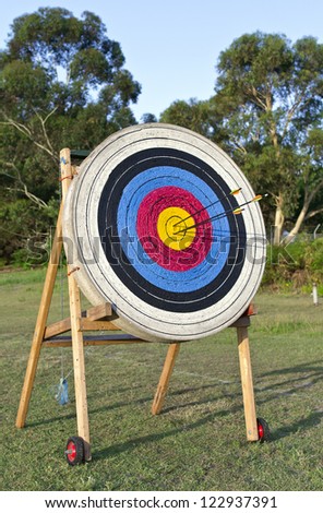 Archery shooting target standing on the grass field