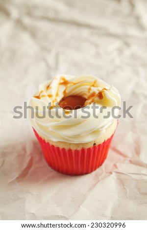 Vanilla cupcake with Salted caramel topping with clear space