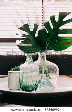 Similar – Image, Stock Photo Monstera im detail