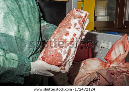 The processing of the pig and its transformation into meats, sausages and other craft products.