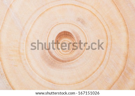 Background texture of the growth rings of the inside of a pine tree