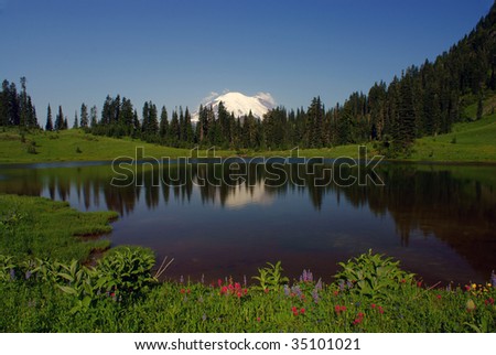 Mount Rainier & Tipsoo Lake in Mount Rainier National Park in Washington State, USA