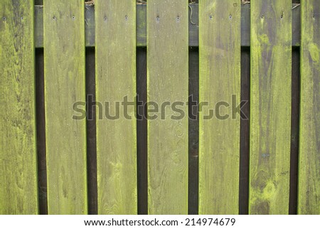 Green wood background - Wooden pattern fence ecological old vintage material