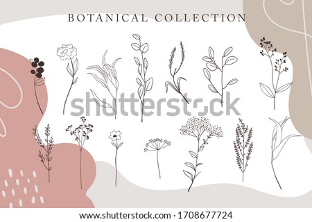 Trendy minimalistic flower graphic sketch drawing, tiny tattoo design, floral botanic elements vector illustration collection. Eps 10 tender set