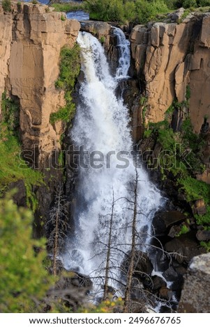 Similar – Image, Stock Photo Lake flowing near green trees