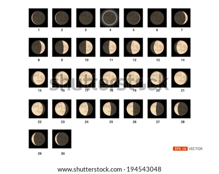 30 steps to take Lunar phases., vector eps 10