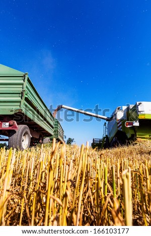a cornfield with wheat at harvest. a combine harvester at work.