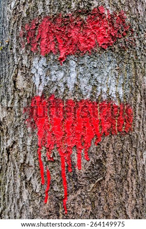 on a tree, the red-white-red flag is painted on a hiking trail.