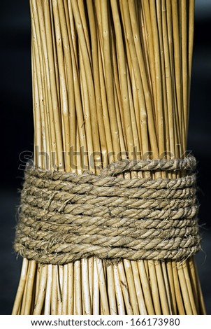 reed  and a string - background pattern