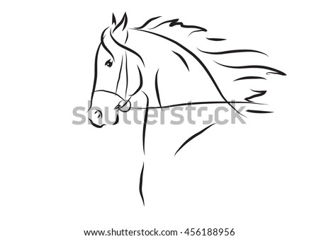 Vector Illustration Of Horse Head