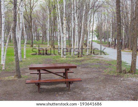 bench in park and forest background,relaxation scene