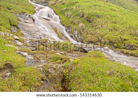 Little stream flowing among rocks, high altitude flowers and lush green meadows, taken with slow shutter speed. Location: western Alps, Piedmont, Italy.