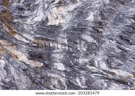 Close up of rock surface, gneiss with white folded quartz veins due to the power of geologic crustal movement