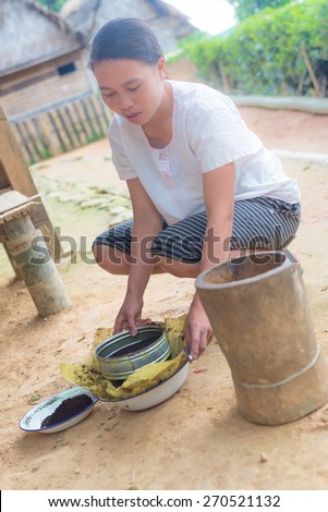 Ballapeu, Sulawesi, Indonesia - August 18, 2014: Unidentified young woman sifting coffee beans in the traditional way of Toraja, Sulawesi, Indonesia. Concept of manual working in developing countries.